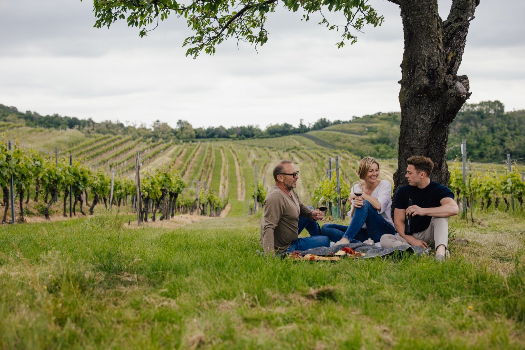 Familie Lang beim Picknick unter dem Baum, dahinter die Rebzeilen